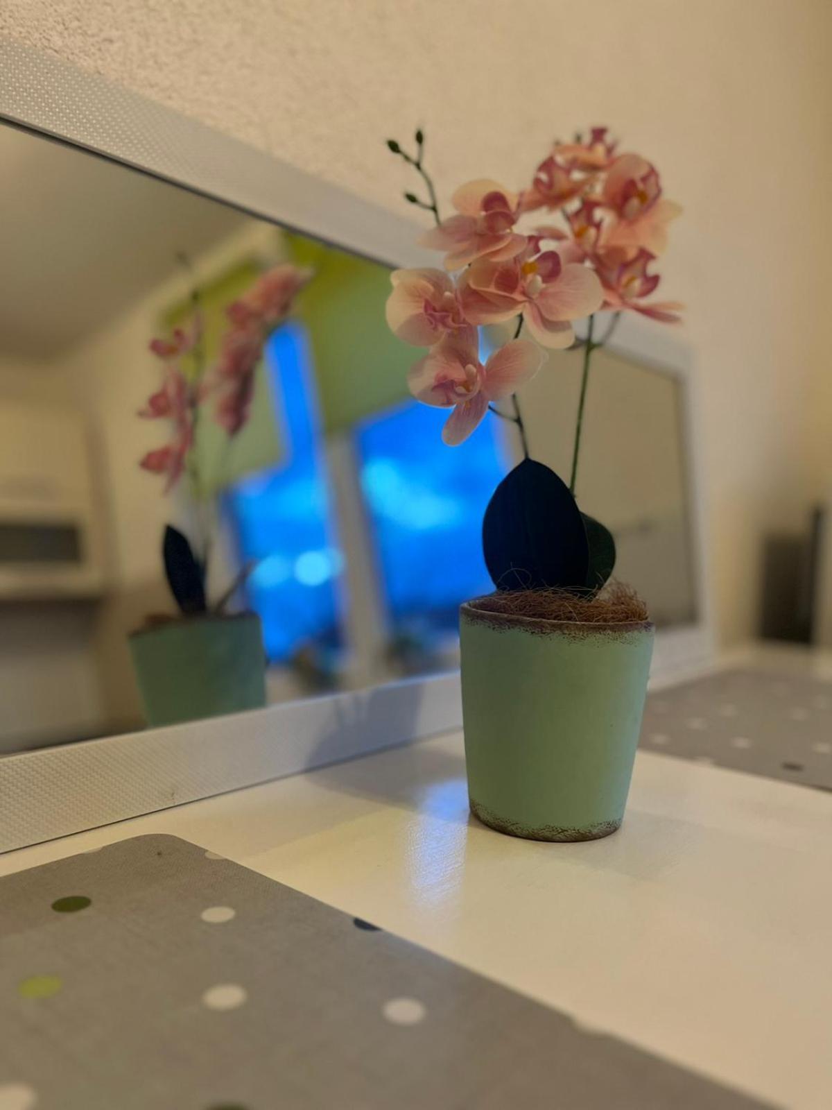Apartment Lovely In Old Town 400m From Center Sebilj