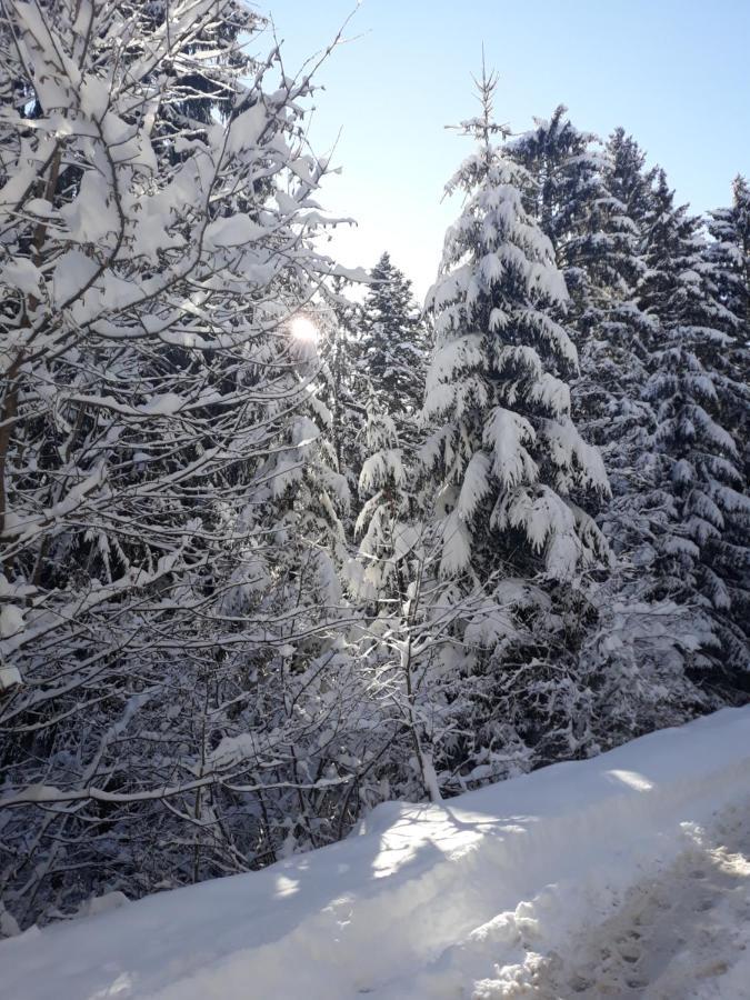 Lovely In Old Town 400m From Center Sebilj Sarajevo